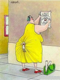 Пропала собачка