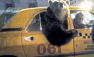 Россия, глазами иностранцев