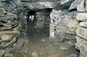 Позвольте и мне вам помочь)))