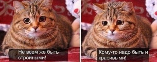 Нестандартные модели в рекламе нижнего белья