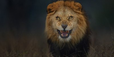 Одному из улыбающихся при встрече обязательно повезет.