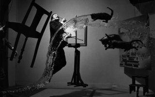 Австрийский фотограф снимает летающих котов