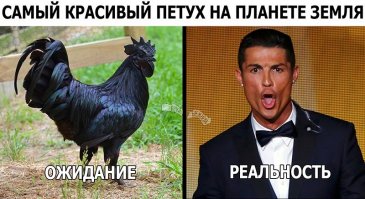 Роналду отличился хет-триком, а интернет потешается над Роналду в позе мыслителя