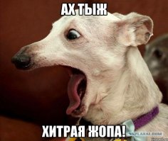 Бриллиантовая нога