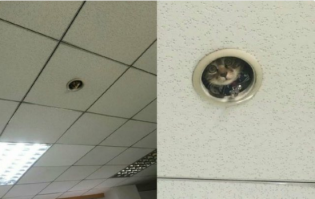 Как ДПС-ники "разводят" водителей 