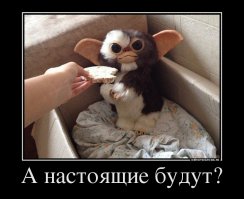 Мило, конечно, но почему опять всё резиновое?