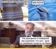 Новый спор мирового масштаба: какого цвета шлепанцы?
