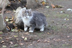 Фотоподборка за 22.11.2016