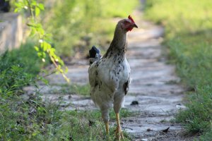 Фотоподборка за 22.11.2016