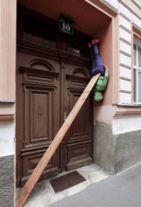 Фотоподборка за 22.11.2016