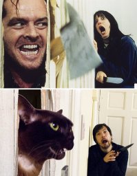 Британец вместе с кошками воссоздает сцены из культовых фильмов