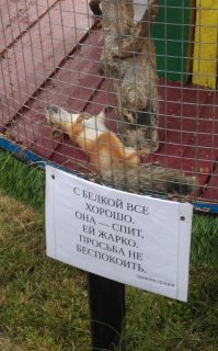 На запах не обращайте внимания.