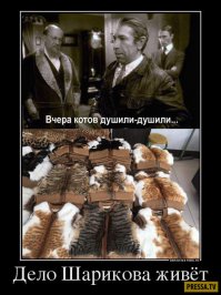 Подборка  демотиваторов