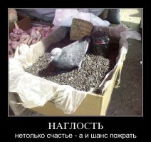 Про наглость