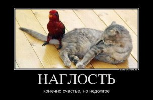 Про наглость