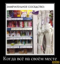 Подборка  демотиваторов