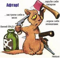 Британец вместе с кошками воссоздает сцены из культовых фильмов