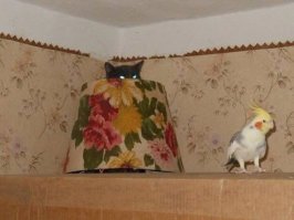 18 непревзойденных шпионов, которым самое место в ЦРУ