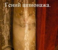 18 непревзойденных шпионов, которым самое место в ЦРУ