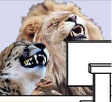 Изумительные снимки дикой природы от финалистов ежегодного конкурса на самую смешную фотографию