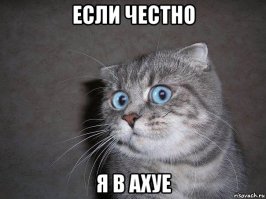мне понравилось. понимаю, что есть свои нюансы, но когда такая штука везет тебя, например с приступом, в больницу - это бесценно. и довезет и припаркуется после того, как тебя санитары вытащат. я плюсую.
