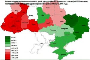 Статистика говорит нам, что в 1910 году в Галичине проживало 58% поляков и всего 40% украинцев. О русских — ни полслова. На самом деле это не так.   В конце 19 века в Галиции, в то время находившейся под властью Австро-Венгерской империи, проживало значительное количество человек, которые считали себя по национальности русскими. Хоть и разговаривали в быту на украинском языке. Таких людей было много. Гораздо больше, чем нам кажется. Посмотрим на результаты выборов в Галицкий сейм 1908 года. 8 депутатов — от Русской Народной партии. Несколькими годами раньше эта же партия провела в сейм 11 своих членов. Все остальные украинофильские партии, как их тогда называли, набрали ровно столько же. Вывод? По политической силе Русская Народная партия равнялась всем вместе взятым украинофильским партиям. Возникает вопрос: кто же голосовал за эту партию, если русских в Галиции не было? Вряд ли якобы составлявшие большинство поляки. Эти люди называли сами себя русинами, руснаками или русскими. Русинами считали себя  бойки, лемки, подоляне, долиняне, гуцулы и другие. К началу 20 века их насчитывалось от 3.1 до 4.5 млн. человек. В области существовало мощное политическое и культурное движение, которое украинские  историки называют москвофильским, а польские — москалефильским.  По свидетельству М. Грушевского, председателя Украинской Центральной Рады, профессора Львовского Университета, автора десятитомной «Истории Украины-Руси», все национальные организации в Галиции и Буковине находились в руках москвофилов. Те, кто называл себя «украинцами», были антирусским меньшинством. И сам термин «украинец» носил не этнический, а политический характер.
Примерно в то же время (в последние десятилетия 19 века) зарождается так называемая украинская идея. Приверженцы её отрицают всякие культурные и исторические связи с Россией и активно стремятся к единению с Западом. Идея, как видите, вполне в духе современного Майдана. Только майдановцы 19 века были в меньшинстве. Тогда в моде было словечко «украинствовать», употреблявшееся с насмешливым, а иногда и презрительным оттенком. Вот, почитайте:
 “«Украинствовать — значит: отказываться от своего прошлого, стыдиться принадлежности к русскому народу, даже названий «Русь», «русский», отказываться от преданий истории, тщательно стирать с себя все общерусские своеобразные черты и стараться подделаться под областную «украинскую» самобытность. Украинство – это отступление от вековых, всеми ветвями русского народа и народным гением выработанных языка и культуры, самопревращение в междуплеменной обносок, в обтирку то польских, то немецких сапогов».
Нет, это не из сегодняшних газет. Это слова Мончаловского в адрес националистов 19 века. А читается как остросовременная цитата.  
Ещё раз: до конца 19 века никакого украинского национализма и не существовало. Были малороссы, которые считали себя ветвью единого русского народа.
Вернёмся в Галицию 1914 года. Как я уже говорил, москвофилы были там большинством и представляли из себя реальную политическую силу. Куда же они делись? Они были уничтожены. В августе 1914 года в Галиции произошёл настоящий геноцид русских. Австрийской власти национализм галичан был выгоден, потому что способствовал разделению и ослаблению народа. Ослабленный народ легче держать в подчинении. А вот деятельность москвофилов была, ясное дело, опасна. Ведь Российская Империя, к 1914-му ставшая одной главных мировых держав, могла помочь младшим братьям. Поэтому малейшие симпатии к русским автоматически приравнивались австрийскими властями к государственной измене. Задолго до августа 1914-го австрийская жандармерия вела списки «политически неблагонадёжных», которых в случае войны надлежало арестовать или выслать вглубь страны. В 80-е годы начались судебные процессы над москвофилами. Один из первых — процесс Ольги Грабарь. Ольге, дочери известного карпаторусского деятеля Добрянского, было предъявлено обвинение в «панславистической пропаганде» и  разжигании смуты с целью отделения Галиции от Австро-Венгерской империи. Особый упор власти делали на русский язык и на то, что москвофилы заявляли о своём единстве с русским народом. По сути, людей судили за то, что они говорили на русском и ощущали себя частью русского народа. Власти считали это государственной изменой. За это полагалась смертная казнь.  Обвинение в итоге провалилось. 
Во Львове судили двух православных священников и студента-юриста. Их два с половиной года продержали в тюрьме без предъявления обвинений, а затем оправдали. В первые 10 лет 20 века произошло ещё 3 крупных политических процесса: процесс братьев Геровских, Львовский процесс и Марамарош-Сигетские процессы. Местные активисты украинских партий активно помогали властям: доносили и выступали официальными обвинителями на судебных процессах. На двух Венских процессах им удалось добиться смертного приговора. Подсудимых спас русский царь: через испанского короля ему удалось добиться замены смертной казни пожизненным заключением. Ни о каких правах человека гуманное и справедливое европейское правосудие в начале 20 века не задумывалось. 
В августе 1914 года, с началом Первой Мировой войны, в Галиции была проведена этническая чистка. Людей уничтожали за то, что они называли себя русскими. Первые в истории концентрационные лагеря — Терезин и Талергоф — были созданы для русских.  В Каменке Струмиловой было арестовано более 120 крестьян, повешено и расстреляно 10 крестьян. Все по доносу местного униатского священника. В селе Полоничная Каменцкого уезда украинофилы распространяли слухи, что война началась по вине москвофилов. Мол, они написали русскому царю прошение. Начались доносы и угрозы. Местный жандарм, заядлый украинофил, арестовал 32 человека и всех отправил в Талегоф. В лагерь отправляли без разбору — детей, женщин и стариков. 74-летнего старика Михаила Зверка арестовали по доносу односельчанина за то, что он читал газету «Русское слово». В селе Бортники взяли четырёх десятилетних мальчиков за то, что  смотрели на проезжавший поезд. В селе Устьи Жидачивского уезда жандармы расстреливали тех, кто называл себя русским, на месте. Мнение властей насчёт русофилов было однозначным. Приговор один — смерть.  Комендант Львова генерал-майор Римль писал в 1915 году:
 «…моё мнение подсказывает мне, что все русофилы являются радикальными и подлежат уничтожению».

так что творили русские? а теперь 3.14здуй к своим йододифицитным братьям укропам втирать свой бред.
