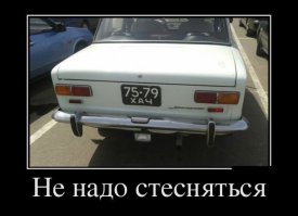 Прикольные картинки для хорошего настроения