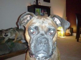 Фотоподборка за 23.11.2016