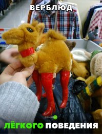 Это девочка, значит просто :"ВерблRдь"... Коротко и ясно))