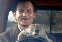 Самые необычные животные на планете Земля (пост №1)