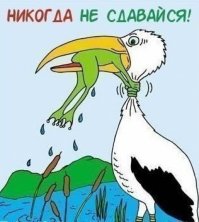 Побег из Шаурменко: эпичный побег от спецназа