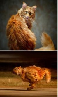 Та ну нах....й!