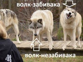 Фотоподборка за 24.11.2016