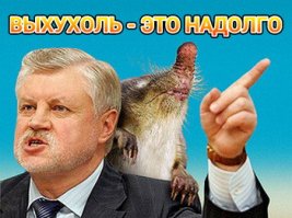 Самые интересные и красивые животные Европы (пост№2)
