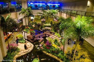 Сингапур, Чанги. Первое место в рейтинге все того же Skytrax. Он невероятный, правда)