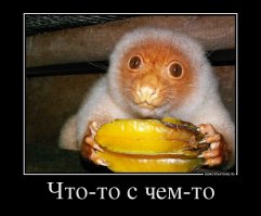 Самые необычные животные на планете Земля (пост №1)