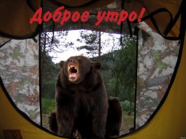 По Белой на плоту