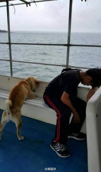 Морская болезнь