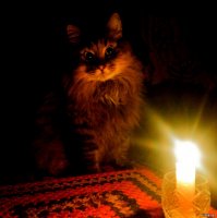 Спецпакет без права передачи
