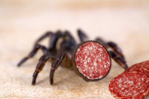 Так прикольнее!