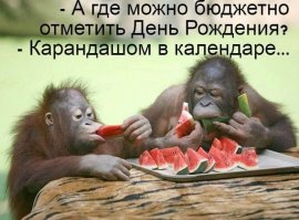 Прикольные картинки