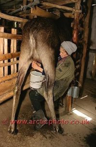 Подтверждаю и первое

и второе

Ну и так подборочка...