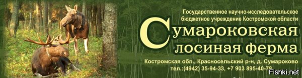 Подтверждаю и первое

и второе

Ну и так подборочка...