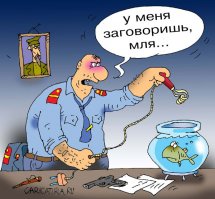 Содержание рыбок в круглом аквариуме