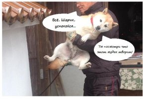 Свежая подборка автоприколов