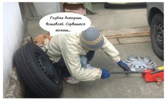 Свежая подборка автоприколов