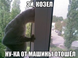 Свежая подборка автоприколов