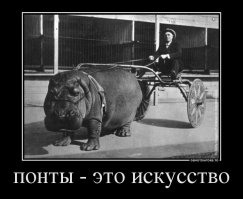 Понт - дороже денег