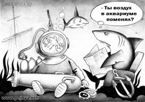 Содержание рыбок в круглом аквариуме