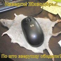 Картинки с надписями